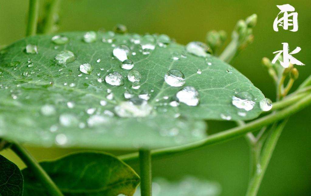 雨水！
